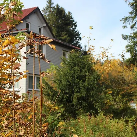 Pusteblume Apartment *
